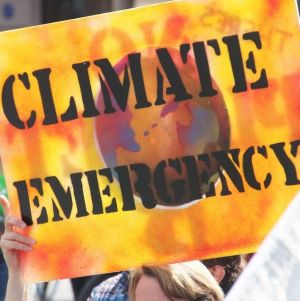 Climate Emergency poster